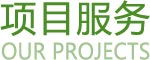项目服务